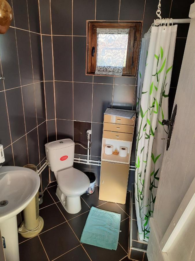 Guest House Rose Smederevska Palanka エクステリア 写真
