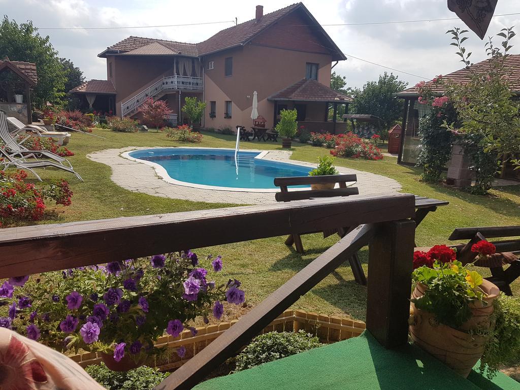 Guest House Rose Smederevska Palanka エクステリア 写真