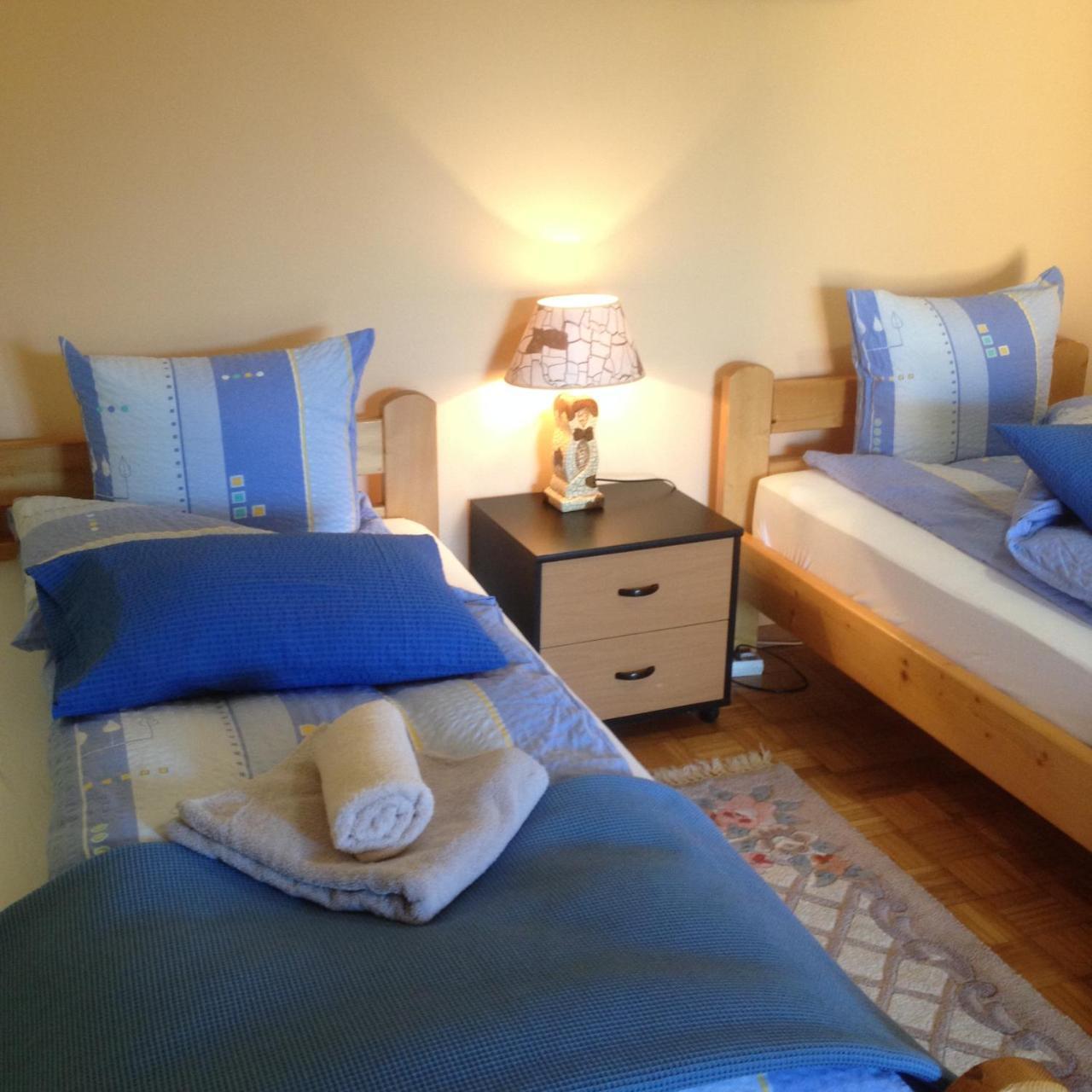 Guest House Rose Smederevska Palanka エクステリア 写真