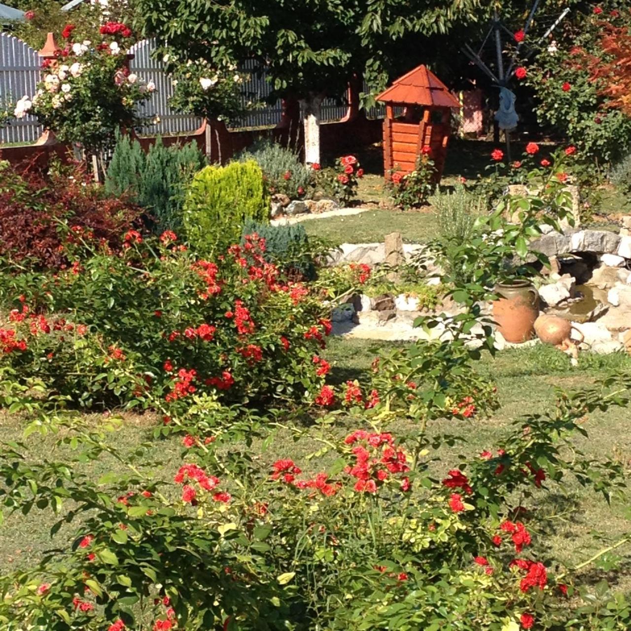Guest House Rose Smederevska Palanka エクステリア 写真